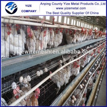 China Manufacture chicken eggs poultry cage sell good in kampala uganda