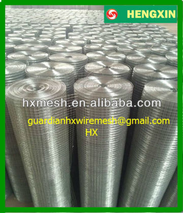 export welded wire mesh/4ft welded wire mesh rolls/welded wire mesh construction