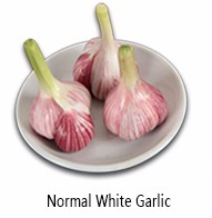 China farm fresh solo garlic