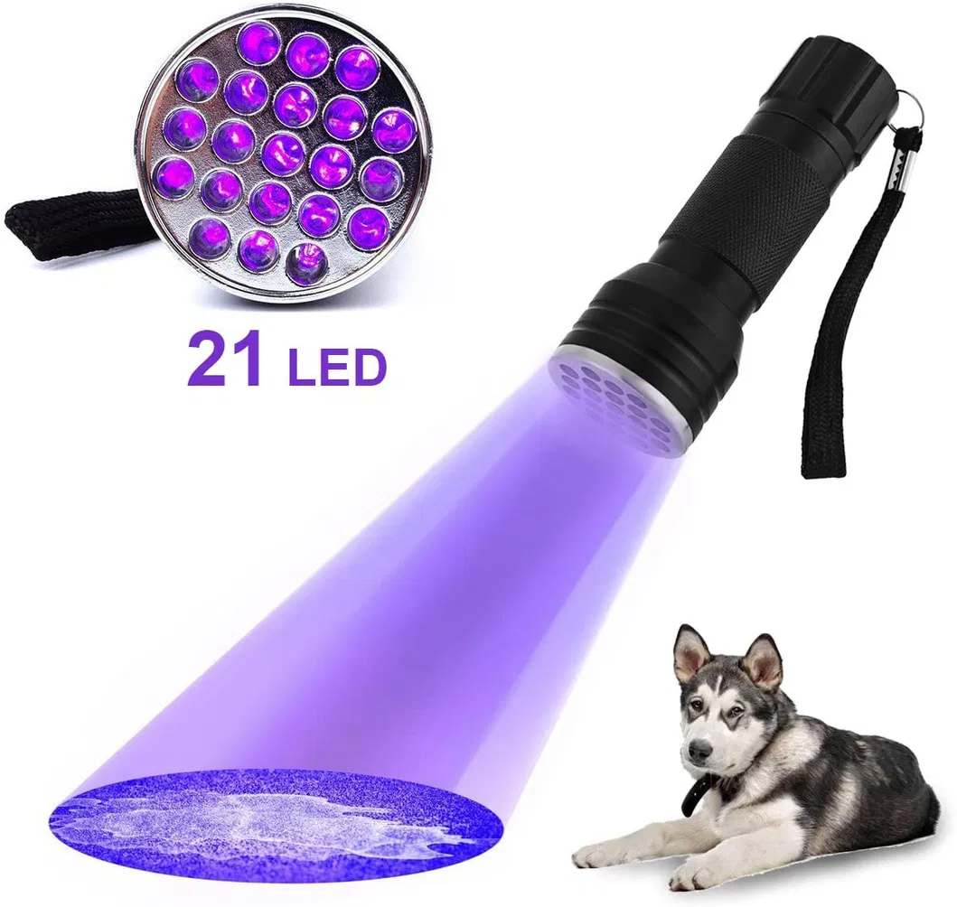 Portable Handheld Torch for Eliminating Dog Urine Stains