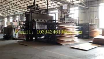 Core/Plywood hot press / Plywood production line / Plywood production machinery