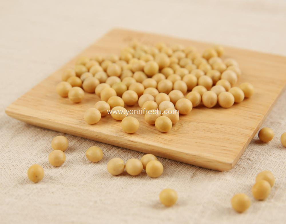 Soybean 5Kg