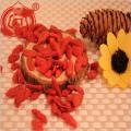 The Superfood Goji Berries Buah Kering