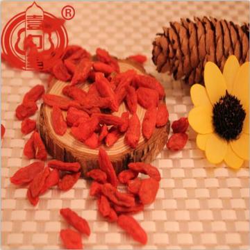 Superfood Goji 열매 건조 과일