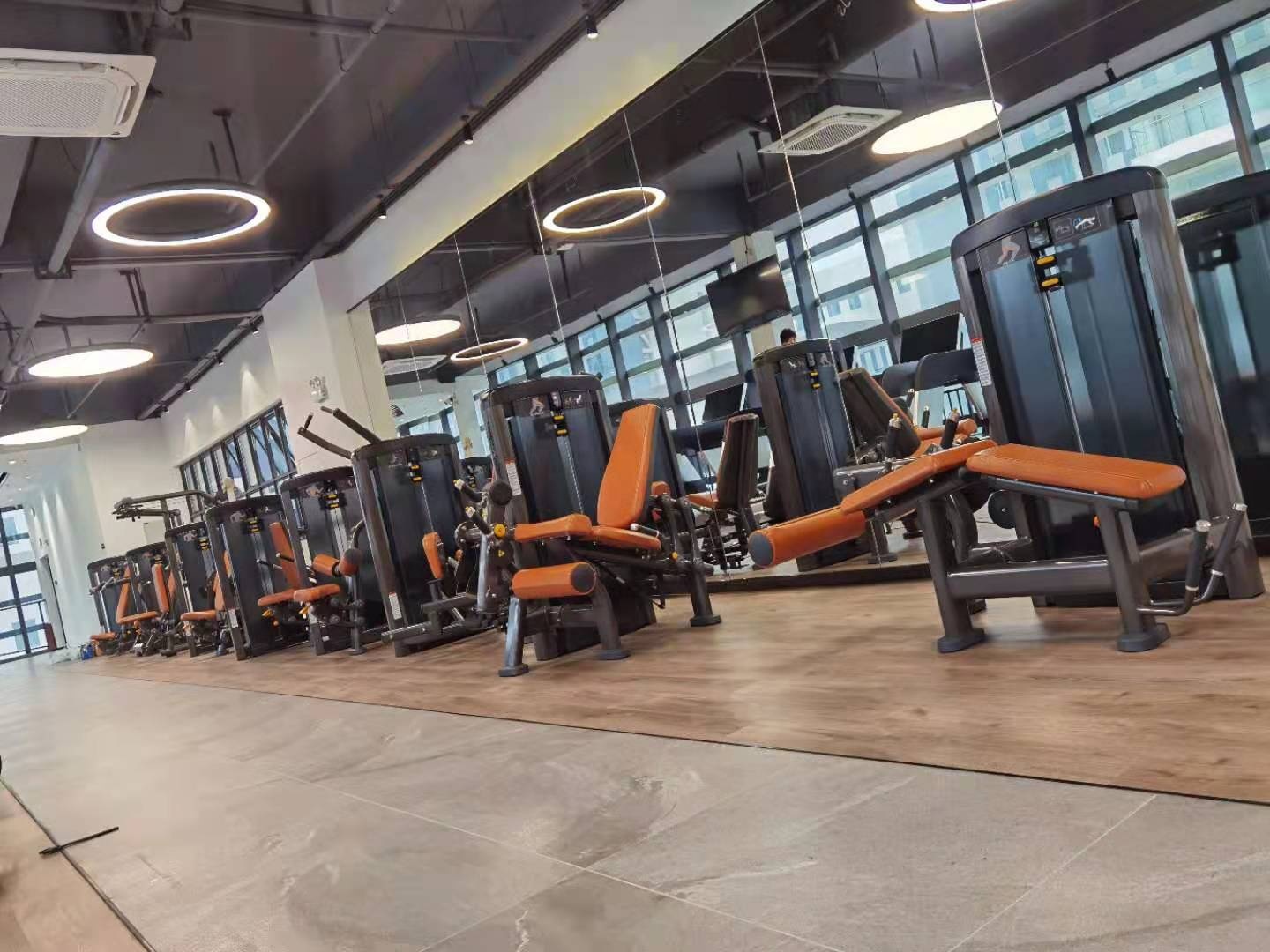 exercise bench exercise bench