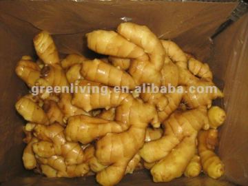 high quality air dried ginger