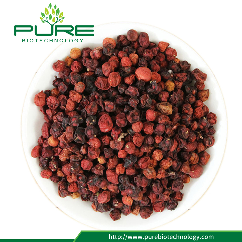 Schisandra chinensis Berry Schisandra chinensis Berry
