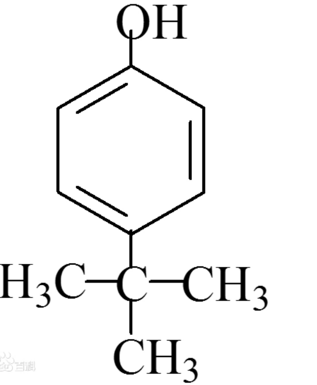 CAS Nr. 98-54-4 P-Atert-Butylphenol