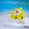 Hibiscus artificial e ara -aranha de lírio