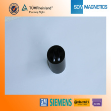 Small Size Bonded Magnet