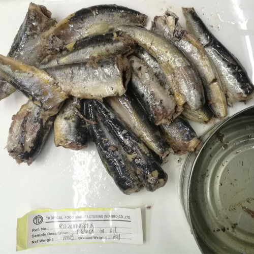 900G Sardines en conserve dans l&#39;huile végétale