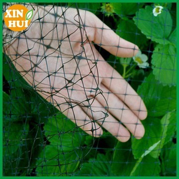 anti-bird netting- protect fruit trees garden