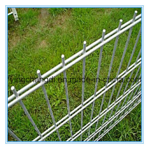 China Professional Supplier Hot Sale Quality Cheap Galvanized PVC Coated Twin Wire Mesh Fence (passed ISO90001 certification)