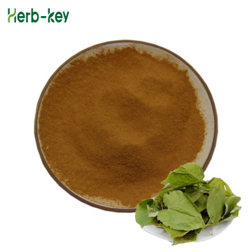 Epimedium Extract Epimedium flavone Powder