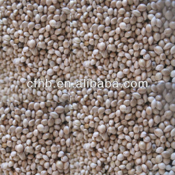 On sale millet feed grade