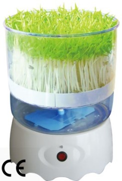 Seed Sprout Growing Machine