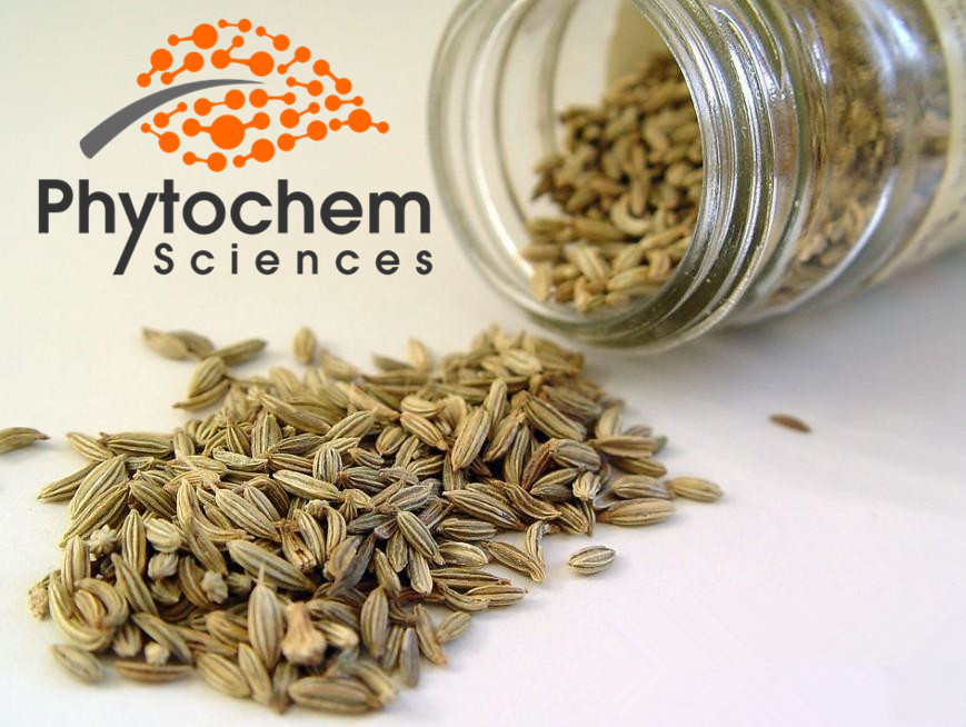 Natural black cumin seeds improves visual