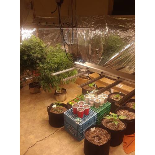 Hydroponic Plant Lamp Full Spectrum LED Grow Light