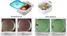 Digital Ultrasonic Vegetable &amp; Fruits Cleaner?