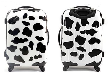 abs and pc trolley luggage bag