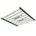 LED-Wachsen-Licht 6x6-Abdeckung 1000w