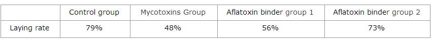 Aflatoxin binder