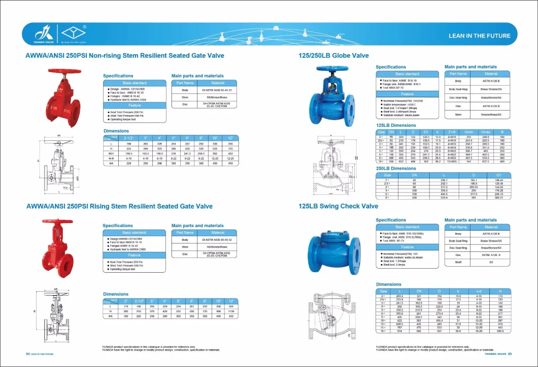 PN16 LIFT CHECK VALVE