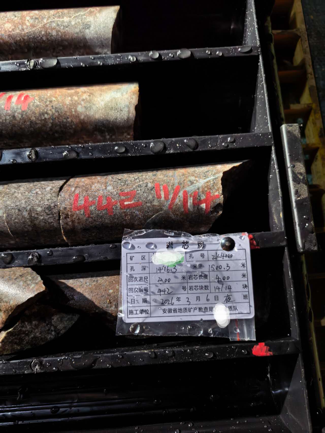 nome predefinito default name