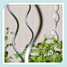 galvanised Tomato Spirals