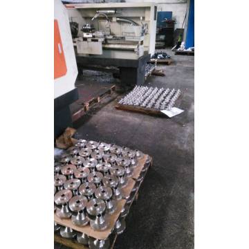 Ditempa SUS304 Flange Wajah Datar