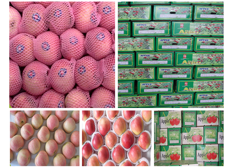 manufacturer price top guality fresh royal fruit gala apple