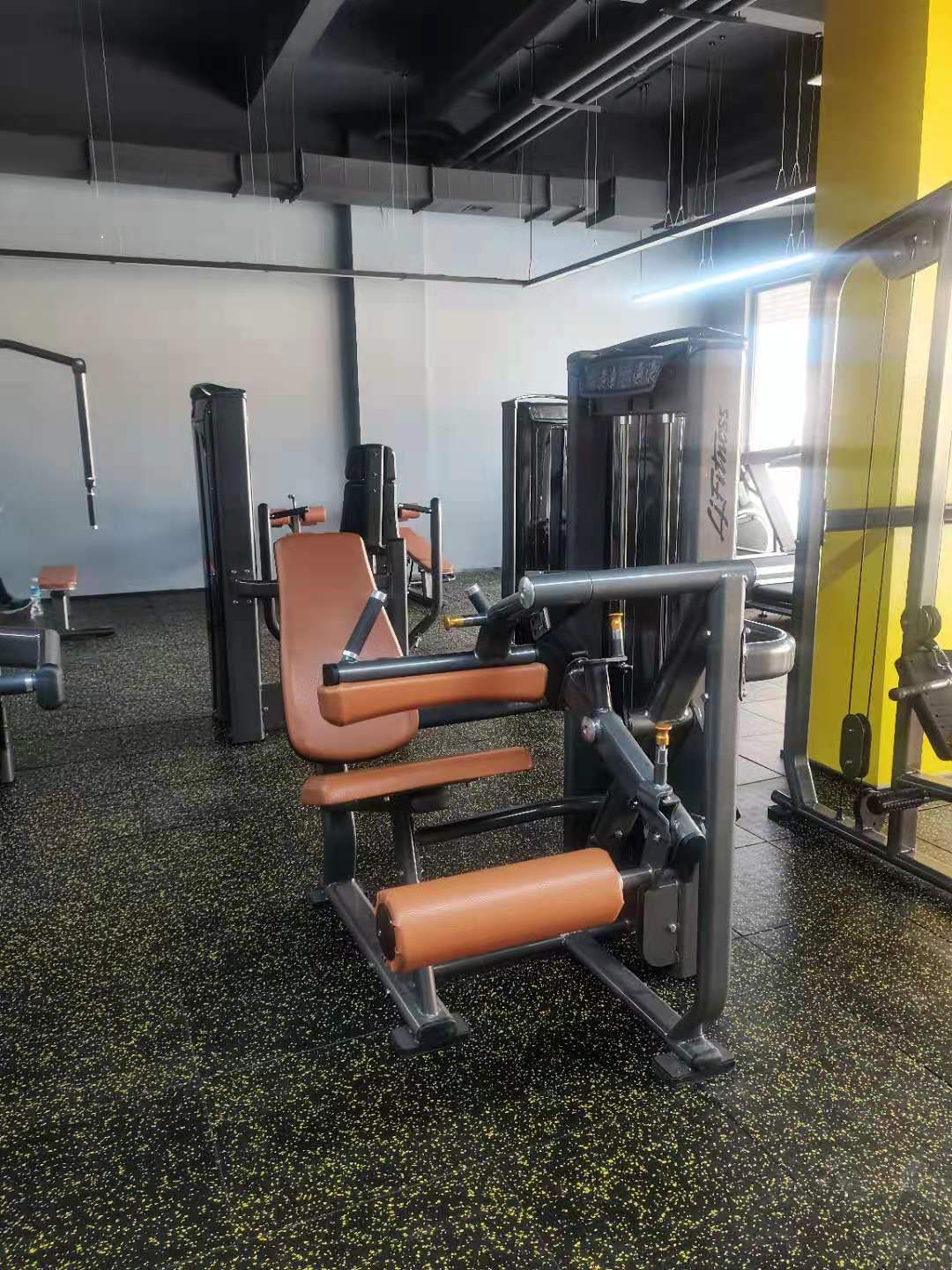 exercise gym