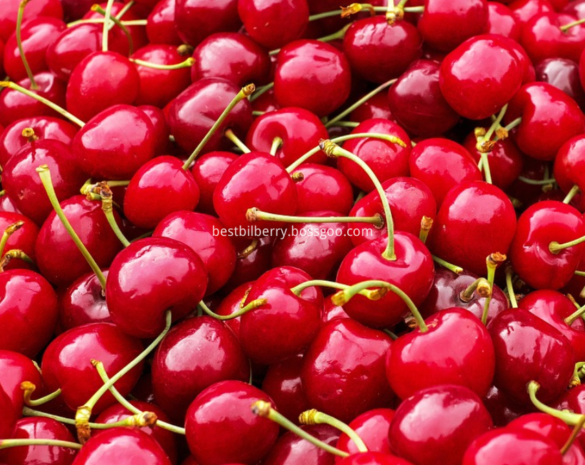 sour cherry extract