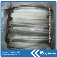 Good Quality Seafood Frozen Eel Fillet For Sale