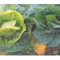 Insect netting for vegetable gardens