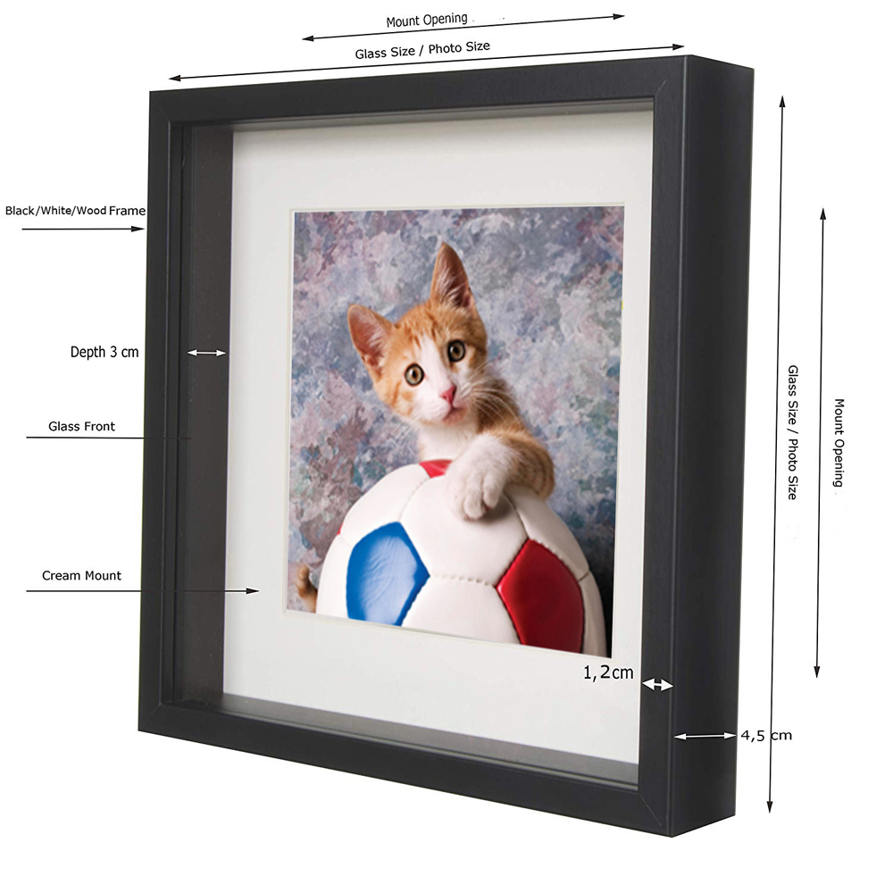 China Supplier Wall Art 3D Shadow Box frame 12x16 inches Specimen Box Frame