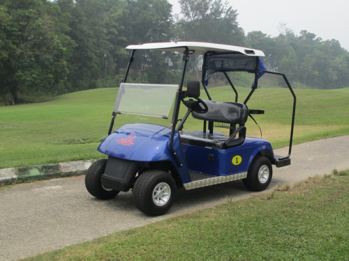 akülü veya gazla çalışan iki kişilik golf arabası