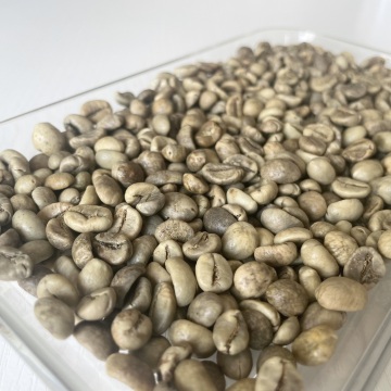 Vietnam Robusta Green Bean
