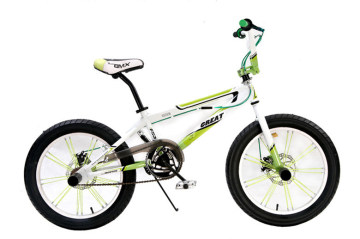 BMX Free Style Bicycle (HC-FS2006)