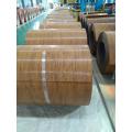 3D Wood Effect Steel Coil