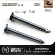 galvanized big cap clout nails with good quality