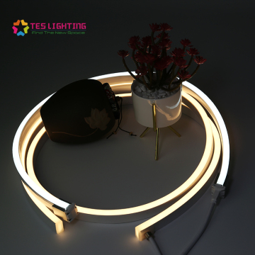 outdoor warm white neon led strip lights
