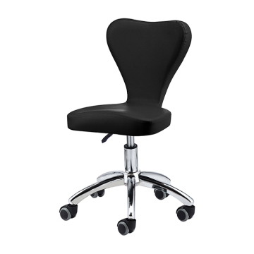 Master Stool For Medical Massage Salon