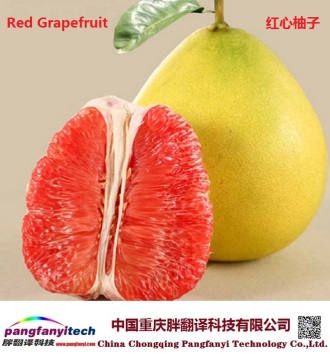 Fresh Nutritional Self-produced Tasty Aromatic Grapefruit