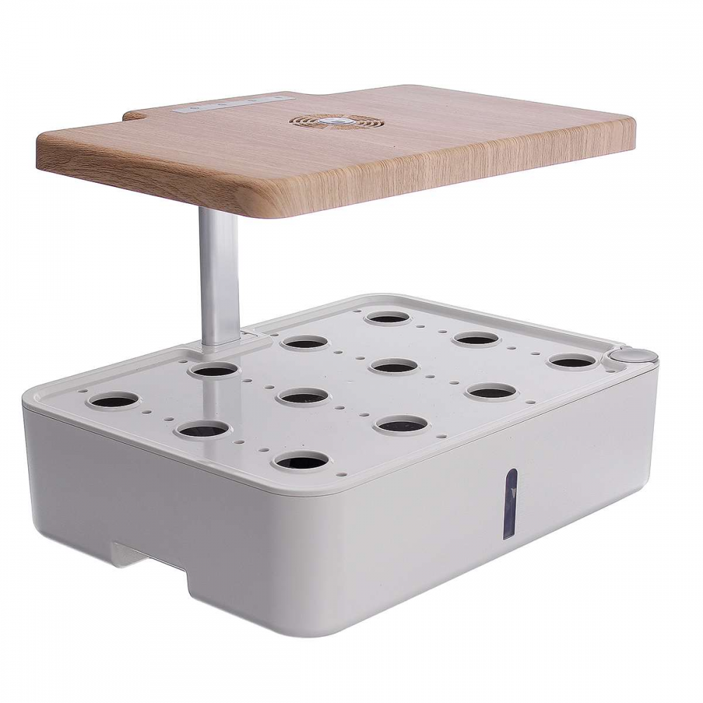 Mini desk indoor growing hydroponic system