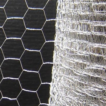 Chicken Wire Mesh Hexagonal Galvanised Netting Roll