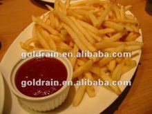 fryer machine french fries