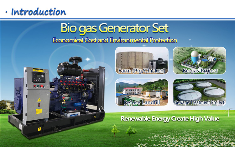 10KVA -1000KVA Soundproof biogas generator with cummins engine