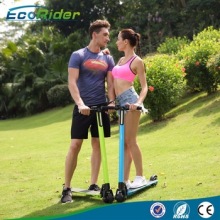 Ce Approved Adults Mini Electric Scooter Brushless Folding Electric Kick Scooter