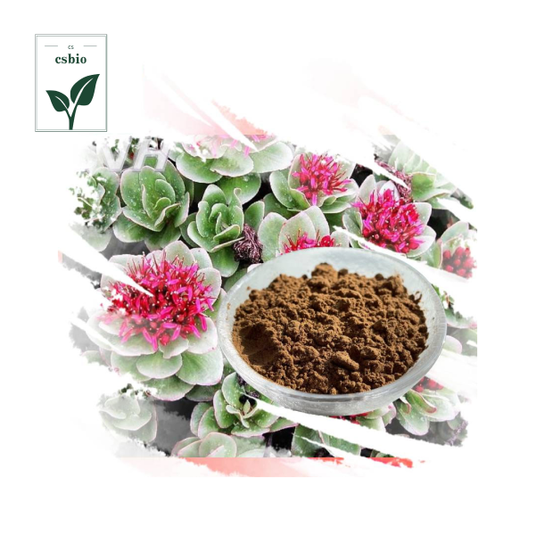 Rhodiola Rosea Powder Extract Rhodiola Rosea Powder Extract